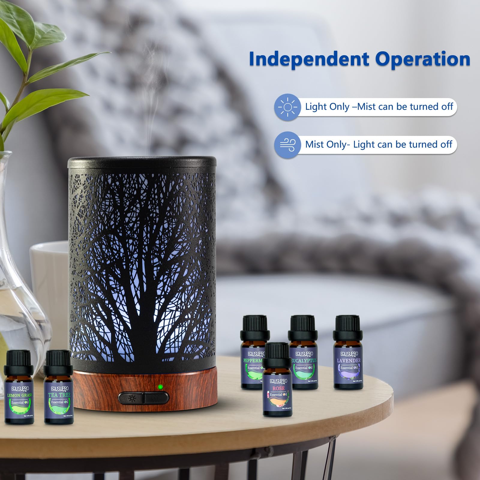Diffuser displaying seven-color night light