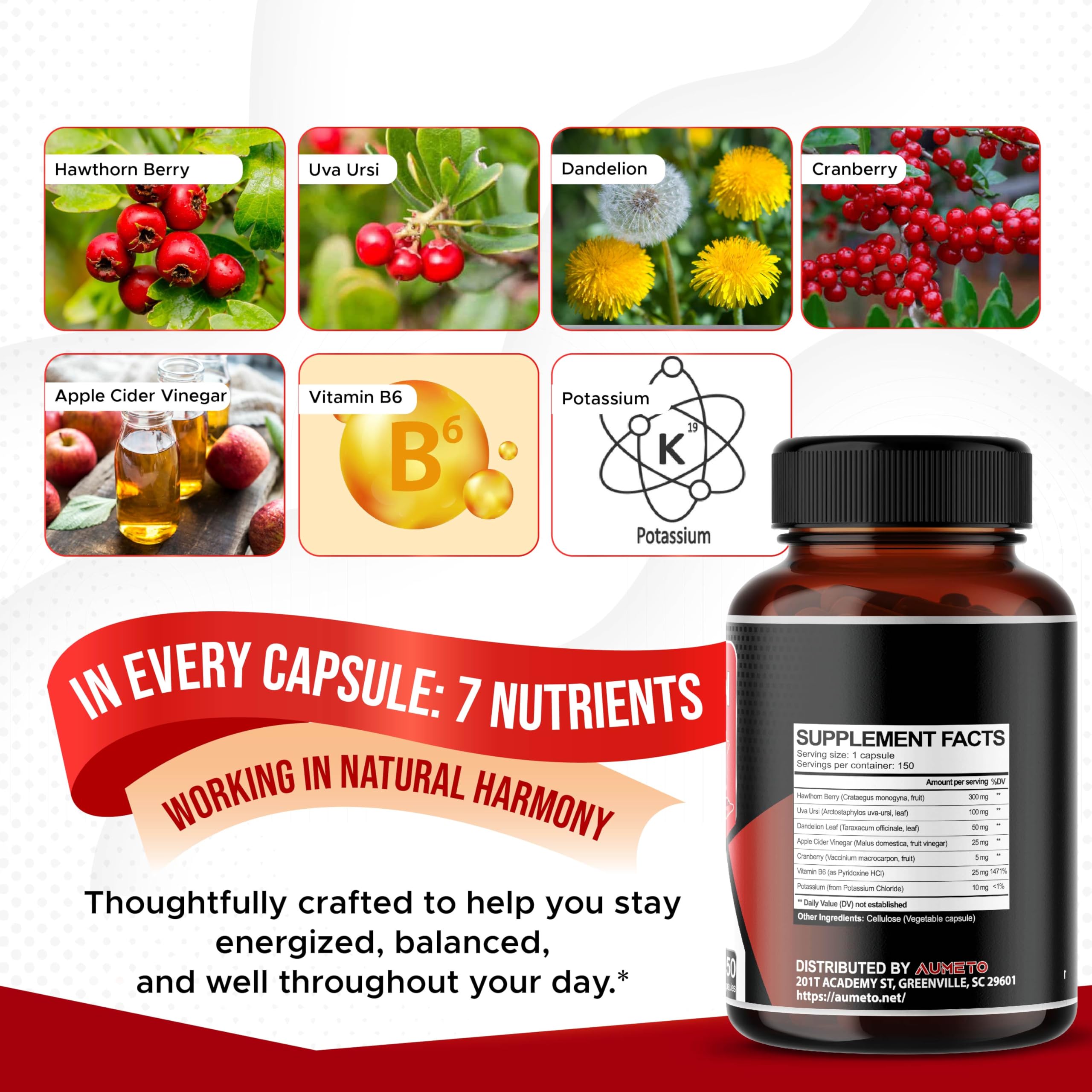 Seven-in-one formula for kidney and urinary wellness
