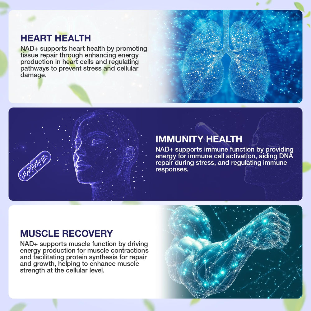 Ingredients label showing Nicotinamide Riboside and Resveratrol