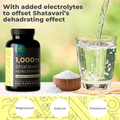 Close-up of Shatavari root powder capsules