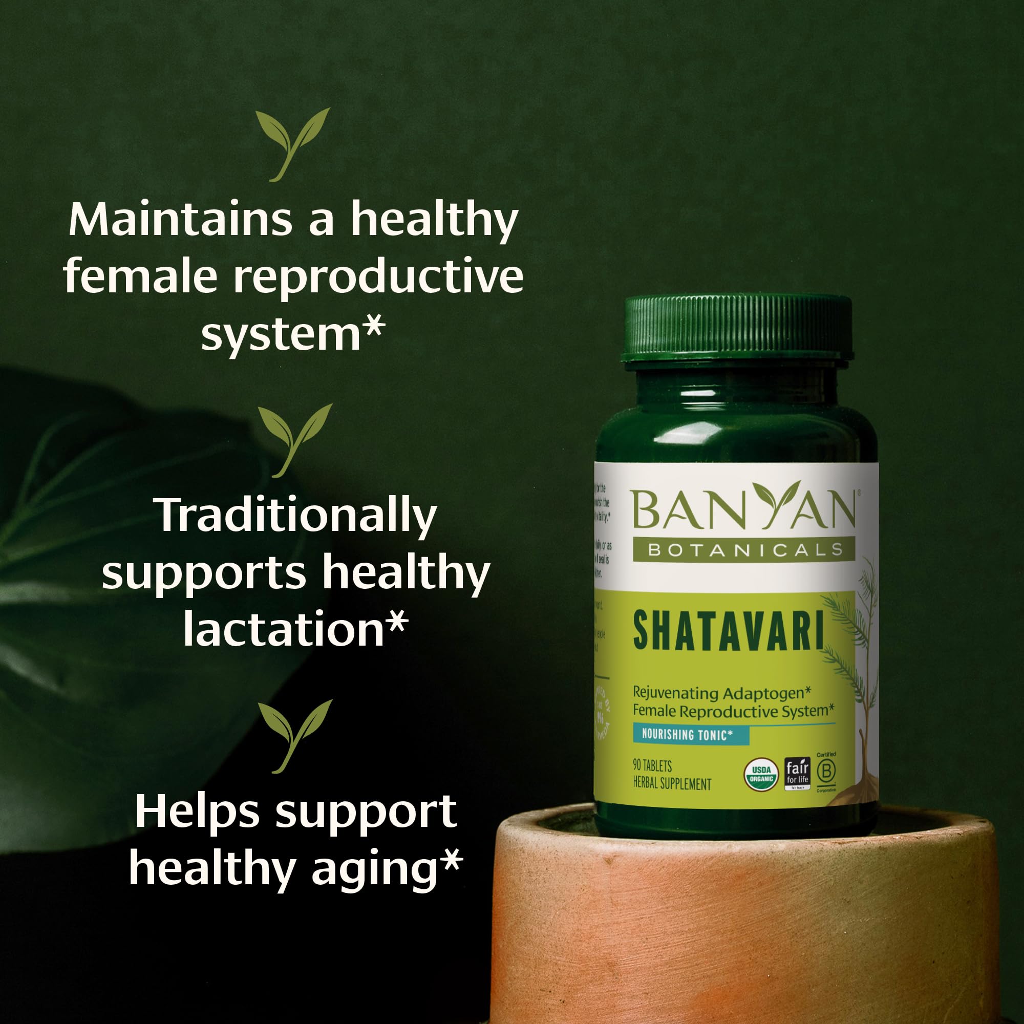 Shatavari tablets close-up in bottle