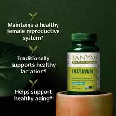 Shatavari tablets close-up in bottle