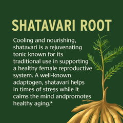 Shatavari root and tablets image