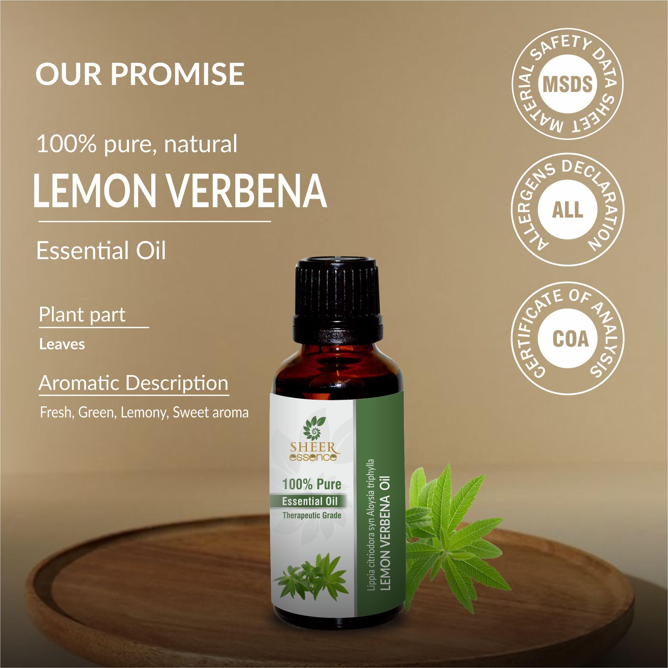 Sheer Essence Lemon Verbena Oil candle-diy project for fresh fragrance.