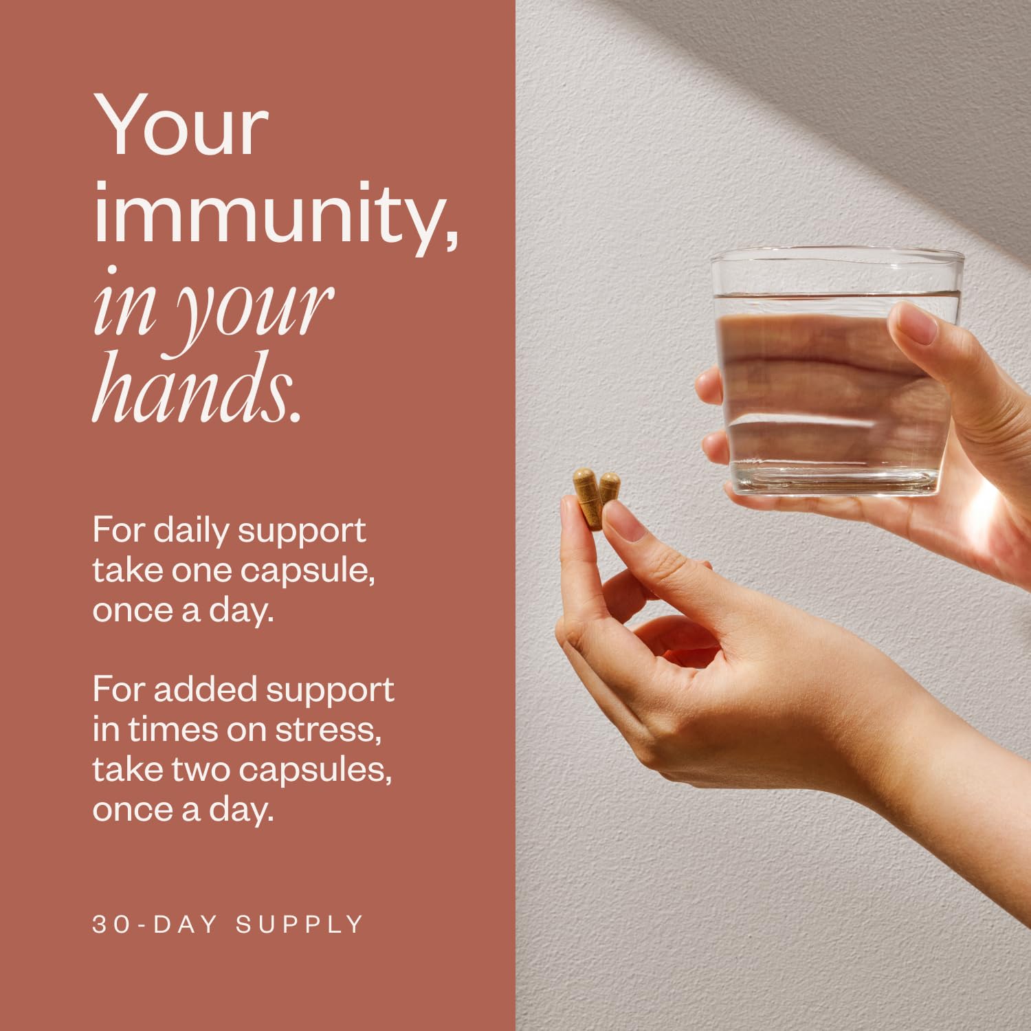 Daily immune support capsules on a white background
