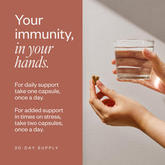 Daily immune support capsules on a white background