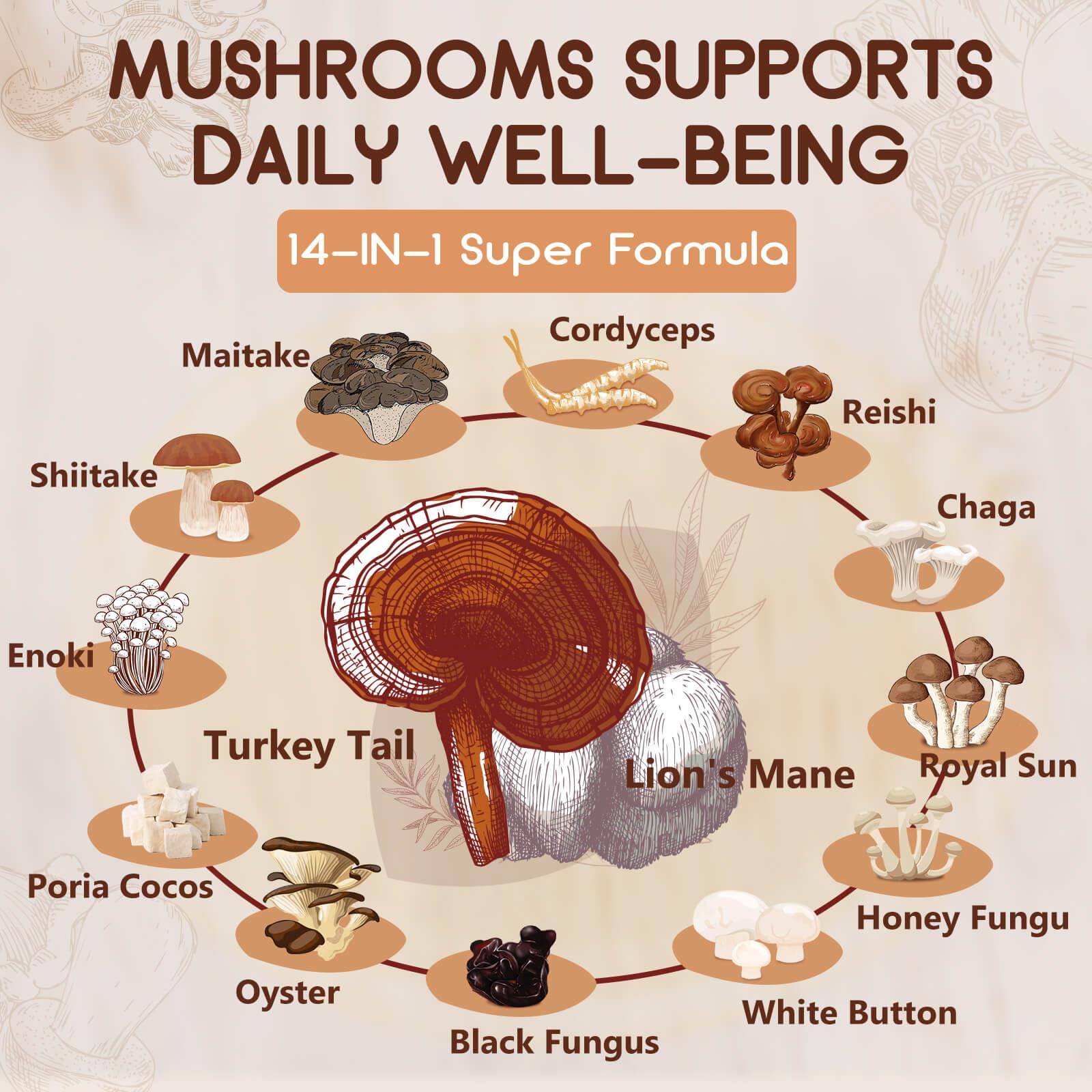 Shiitake and other mushrooms artwork