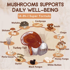 Shiitake and other mushrooms artwork