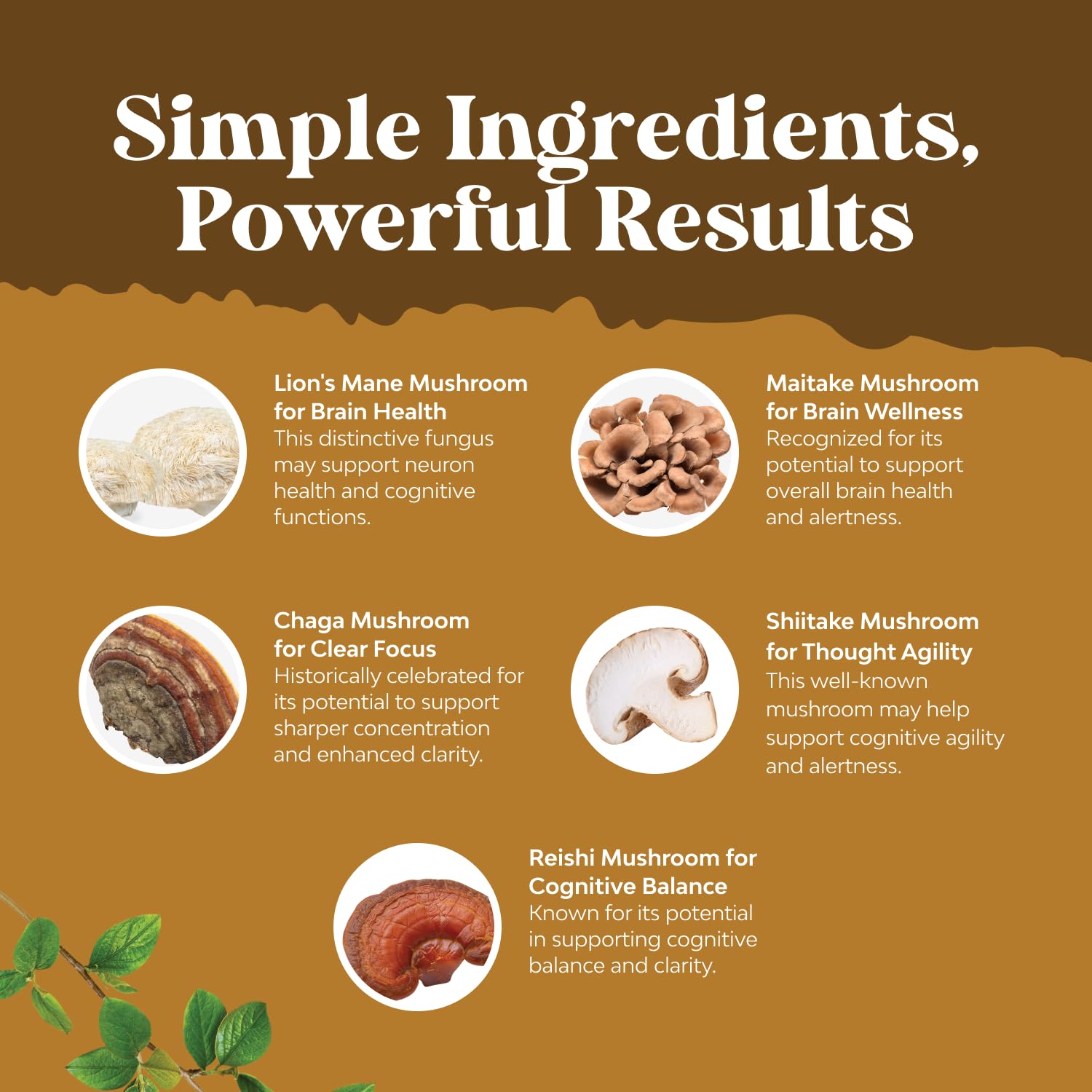 Shiitake and chaga for immune support in capsule form
