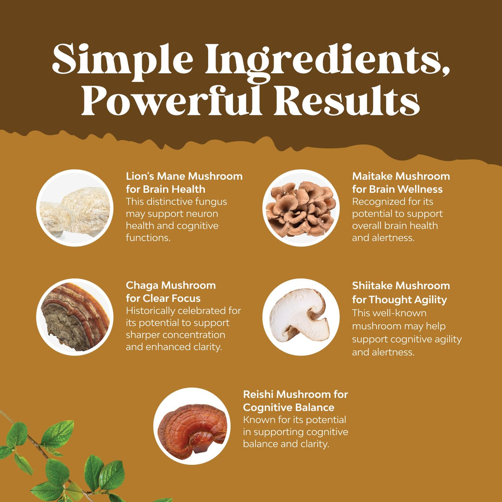 Shiitake and chaga for immune support in capsule form