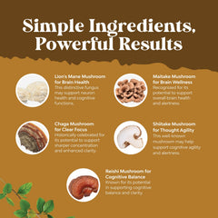 Shiitake and chaga for immune support in capsule form
