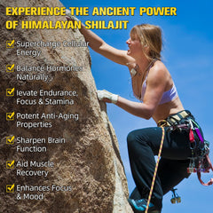 Illustration showing 85+ trace minerals in Himalayan Shilajit