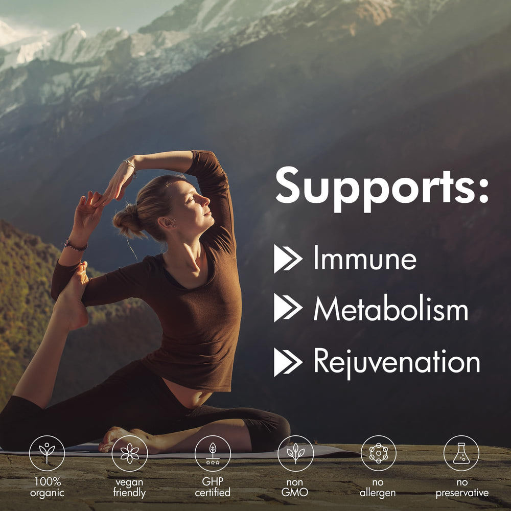 Bottle of Shilajit capsules for energy, stamina, brain health