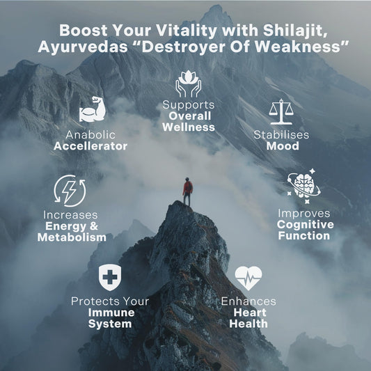 Shilajit capsules bottle containing 120 capsules
