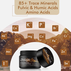 Shilajit supports energy and immune health