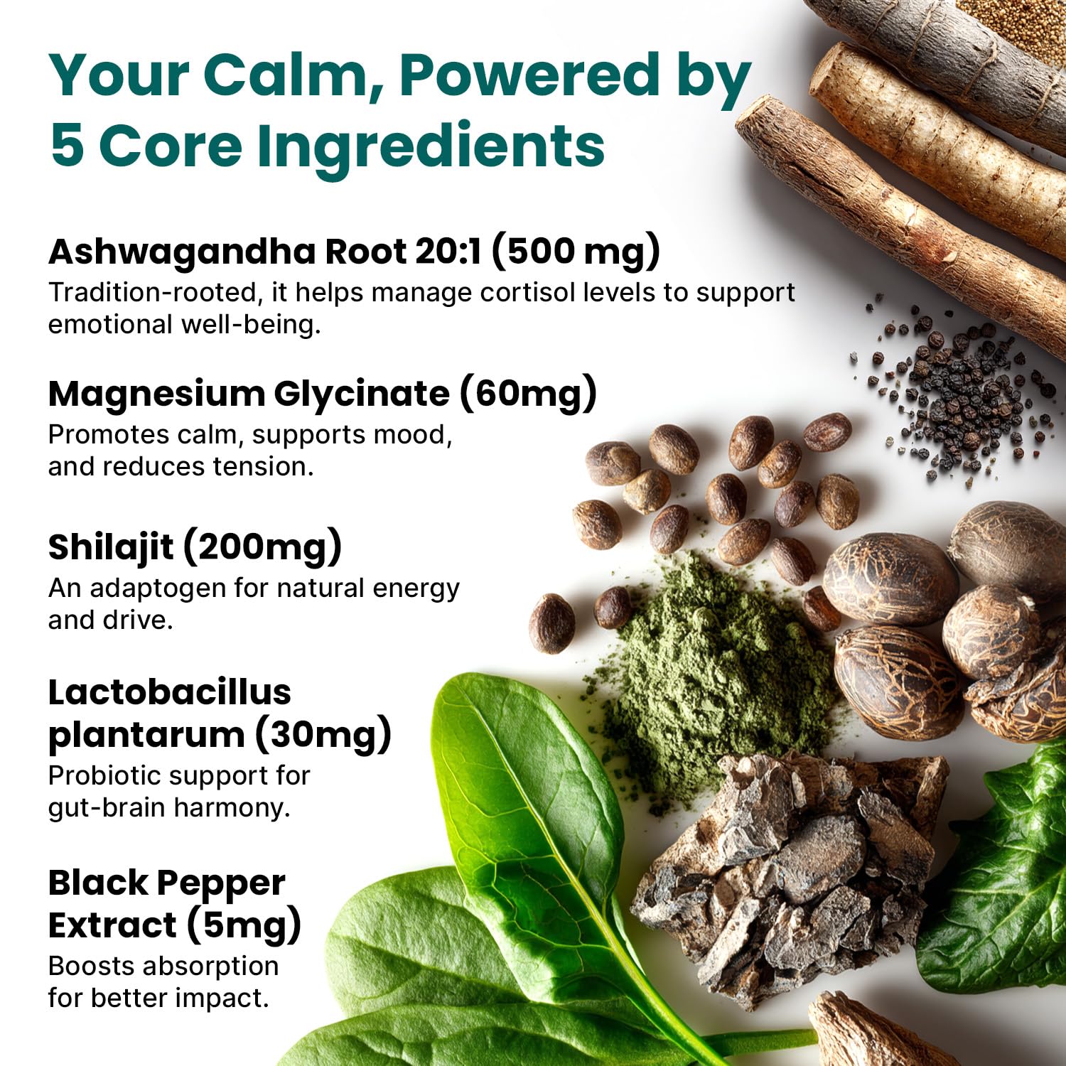 Shilajit extract and energy-boosting ingredients in cortisol supplement