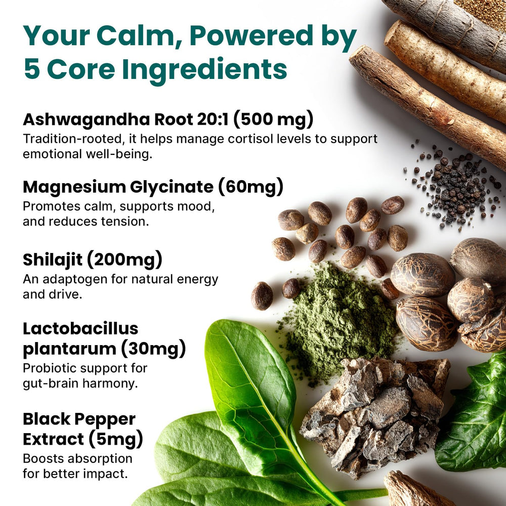 Shilajit extract and energy-boosting ingredients in cortisol supplement