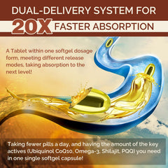 CoQ10 with omega-3 and PQQ for heart and brain health