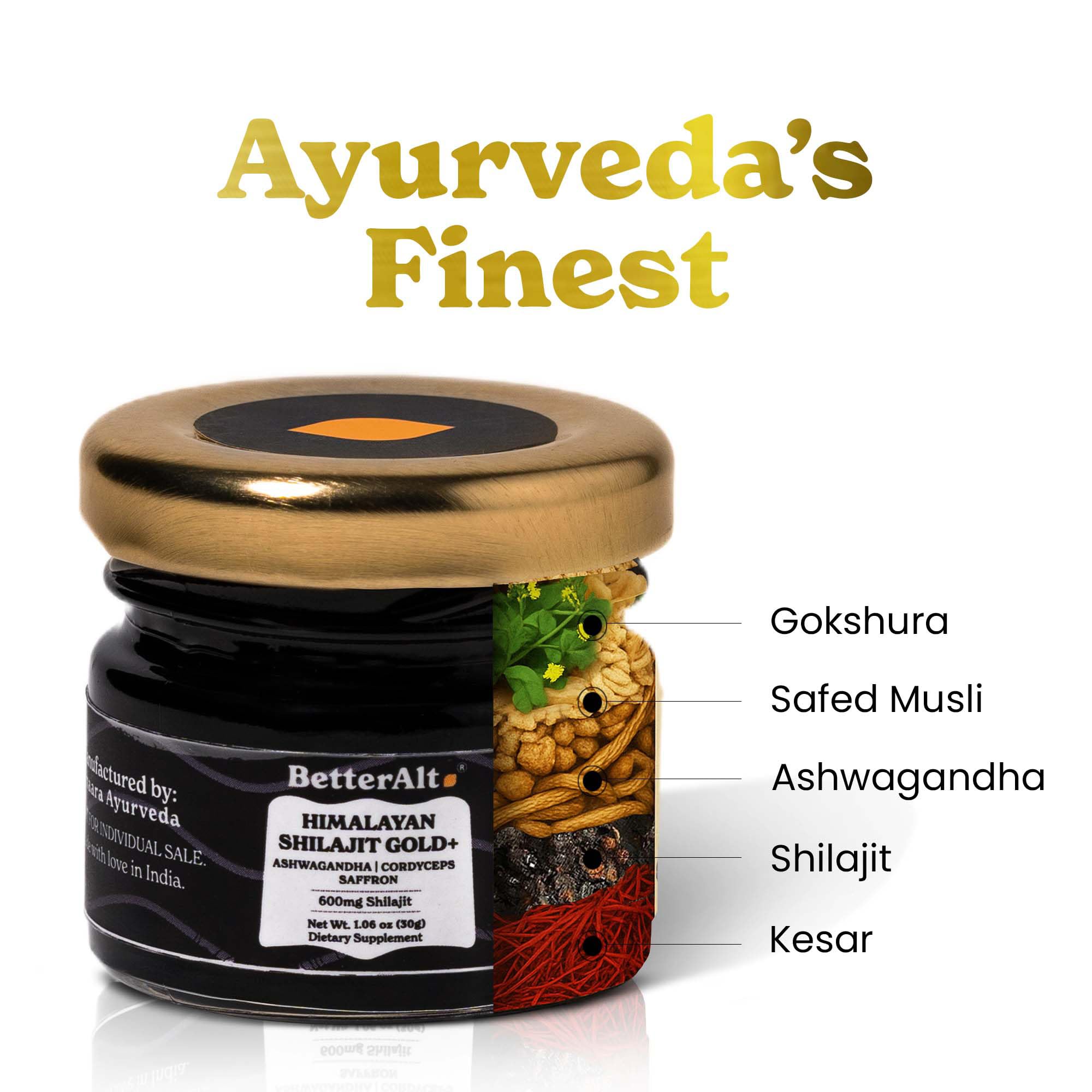 Shilajit Gold 30g resin jar close-up
