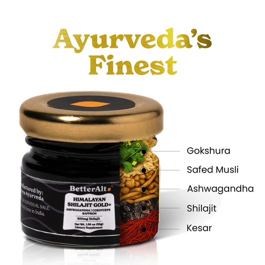 Shilajit Gold 30g resin jar close-up