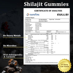 Berry-flavored Shilajit energy gummies