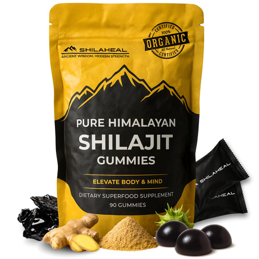 Shilajit Gummies hero image showing the product on a white background
