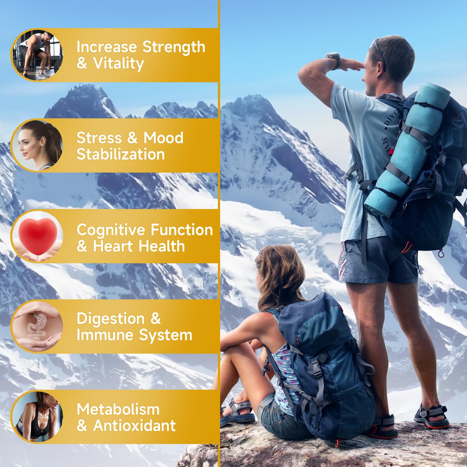 Shilajit Gummies ingredients list visual