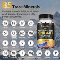 Shilajit Gummies convenient on-the-go serving