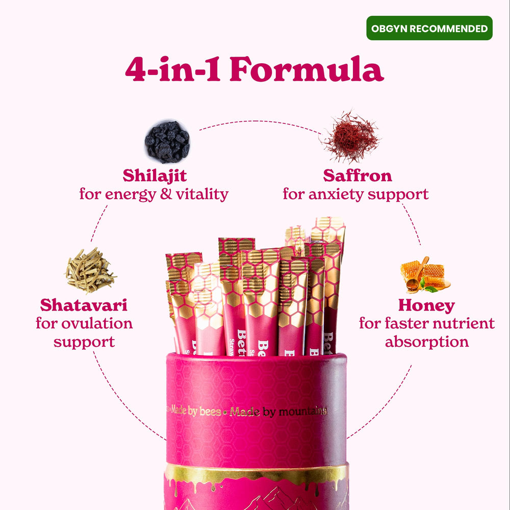 Pure Himalayan Shilajit origin close-up