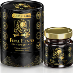 50g glass jar of Himalayan Shilajit resin