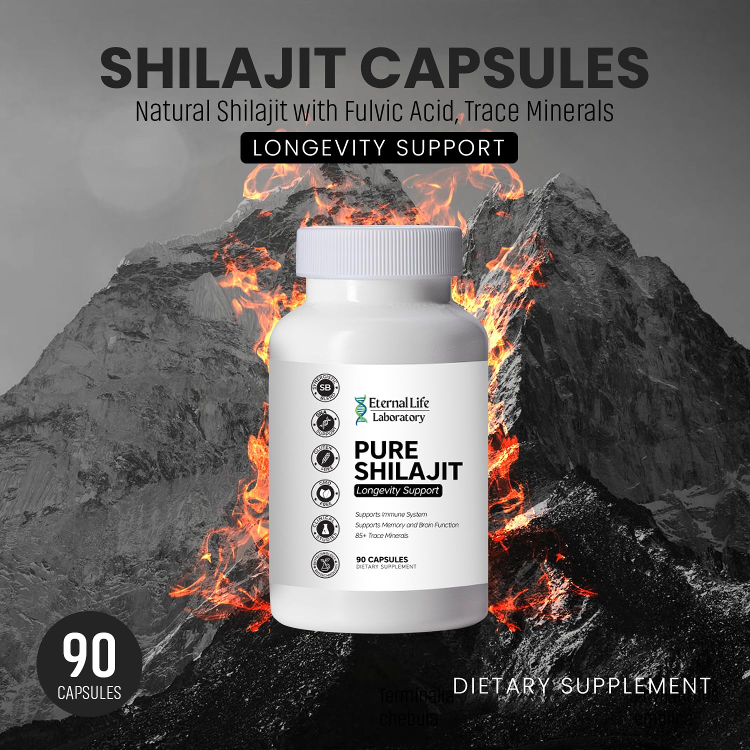 Minerals and fulvic acid illustration for Shilajit