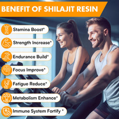 Illustration of Shilajit resin with 85 minerals and fulvic and humic acids