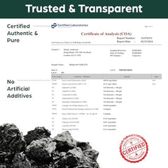 Serving size of Shilajit tablets showing 500 mg per tablet