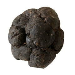 Harvested propolis block ready for processing