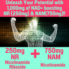 Ingredient panel featuring NR, NAM, and trans-resveratrol