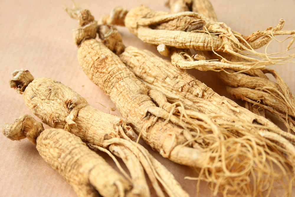 Pet owner with Siberian Ginseng Root Extract bottle for pets