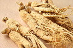 Pet owner with Siberian Ginseng Root Extract bottle for pets