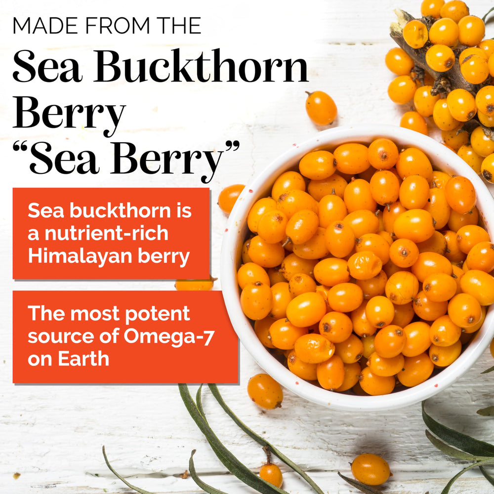Back view of Sibu Sea Buckthorn Omega-7 Softgels with supplement facts