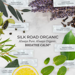 Travel-friendly 10 ml dropper bottle for Breathe Calm
