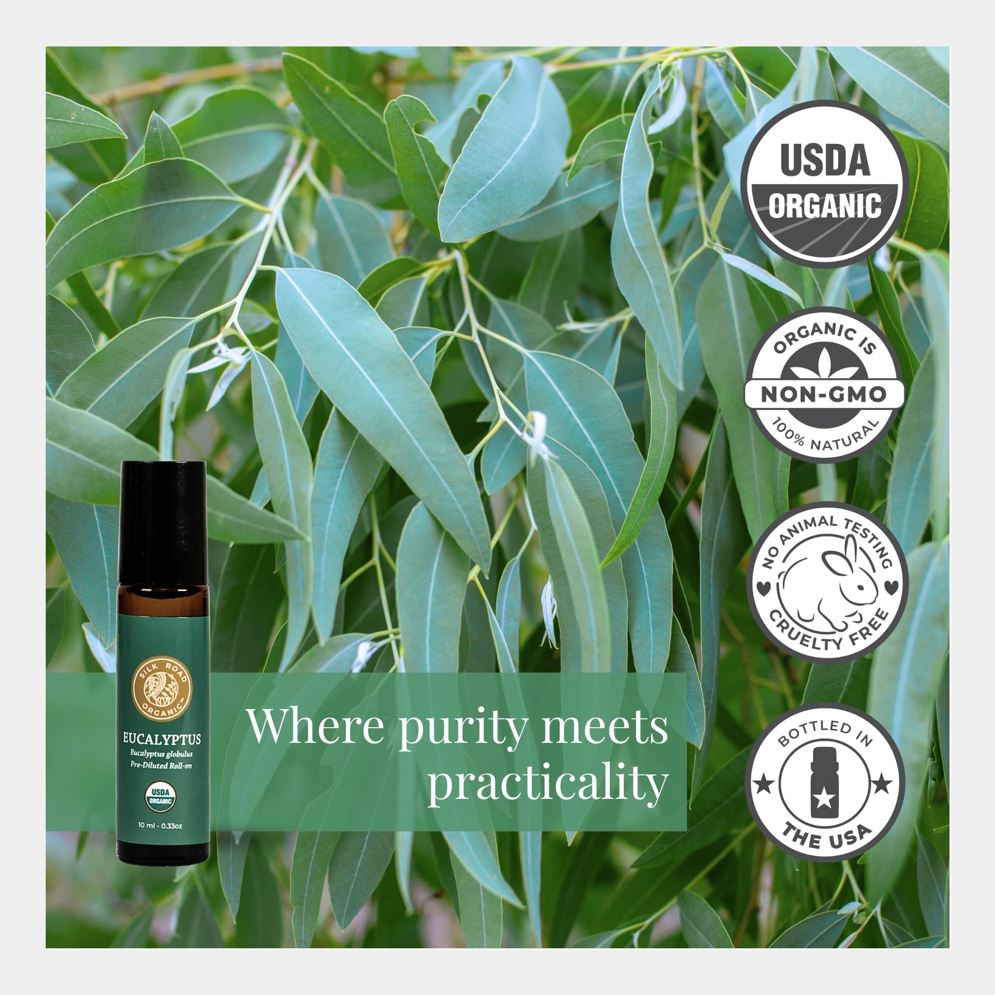 Steam-distilled eucalyptus globulus with organic MCT carrier oil