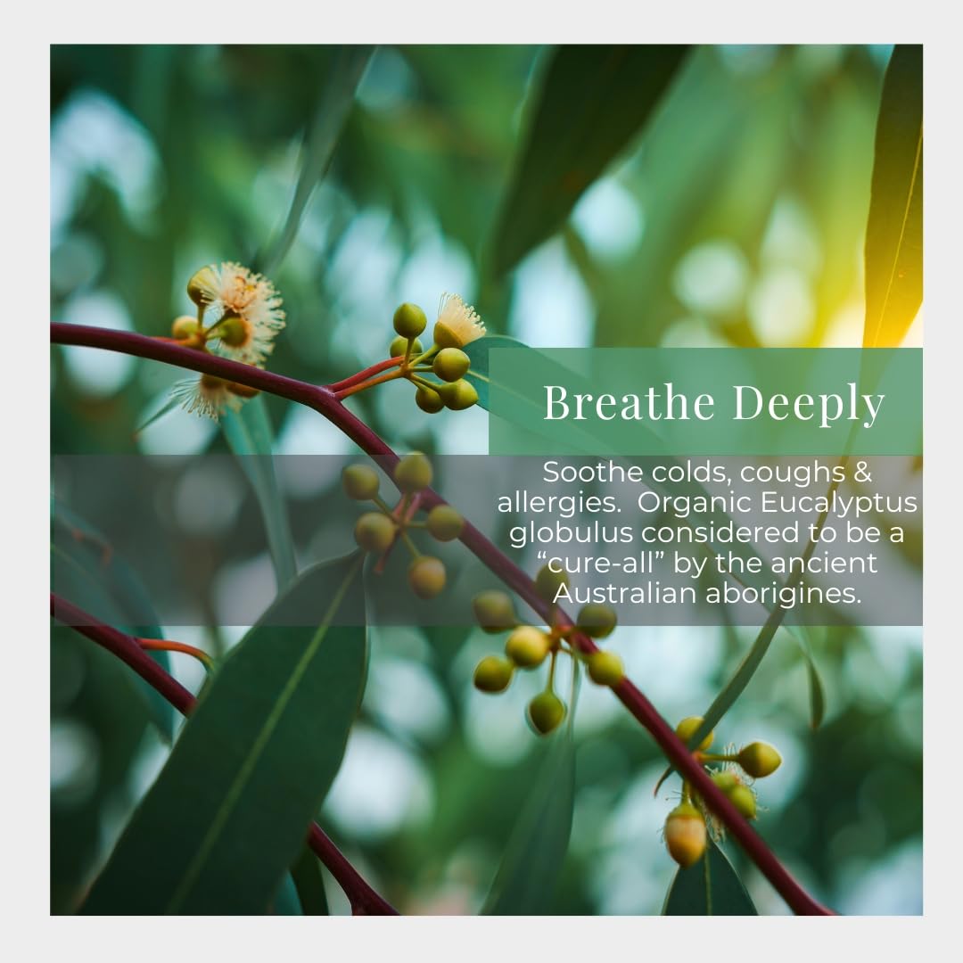 Close up of eucalyptus spray bottle mist