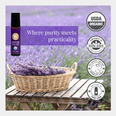 Tamper-evident seal and compact travel-ready packaging