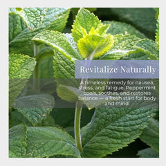 Close-up of roll-on applicator for peppermint essential oil