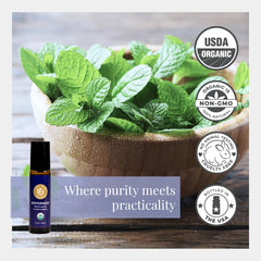 Peppermint essential oil drops with fresh mint leaves