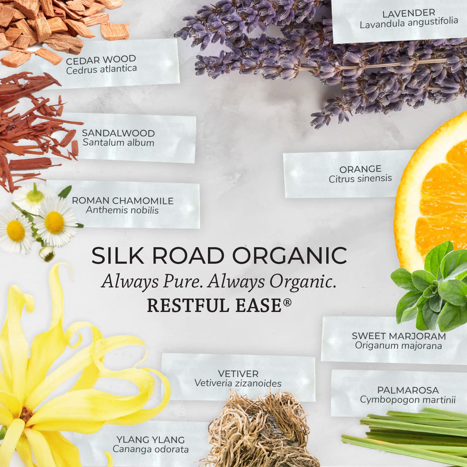 Calming aromatherapy setup with Silk Road Restful Ease essential oil blend