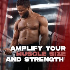 Highlight of single-ingredient creatine monohydrate supplement