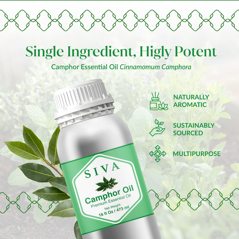 Camphor essential oil diffusing aroma in a diffuser