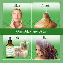 Eucalyptus oil being added to diffuser or humidifier
