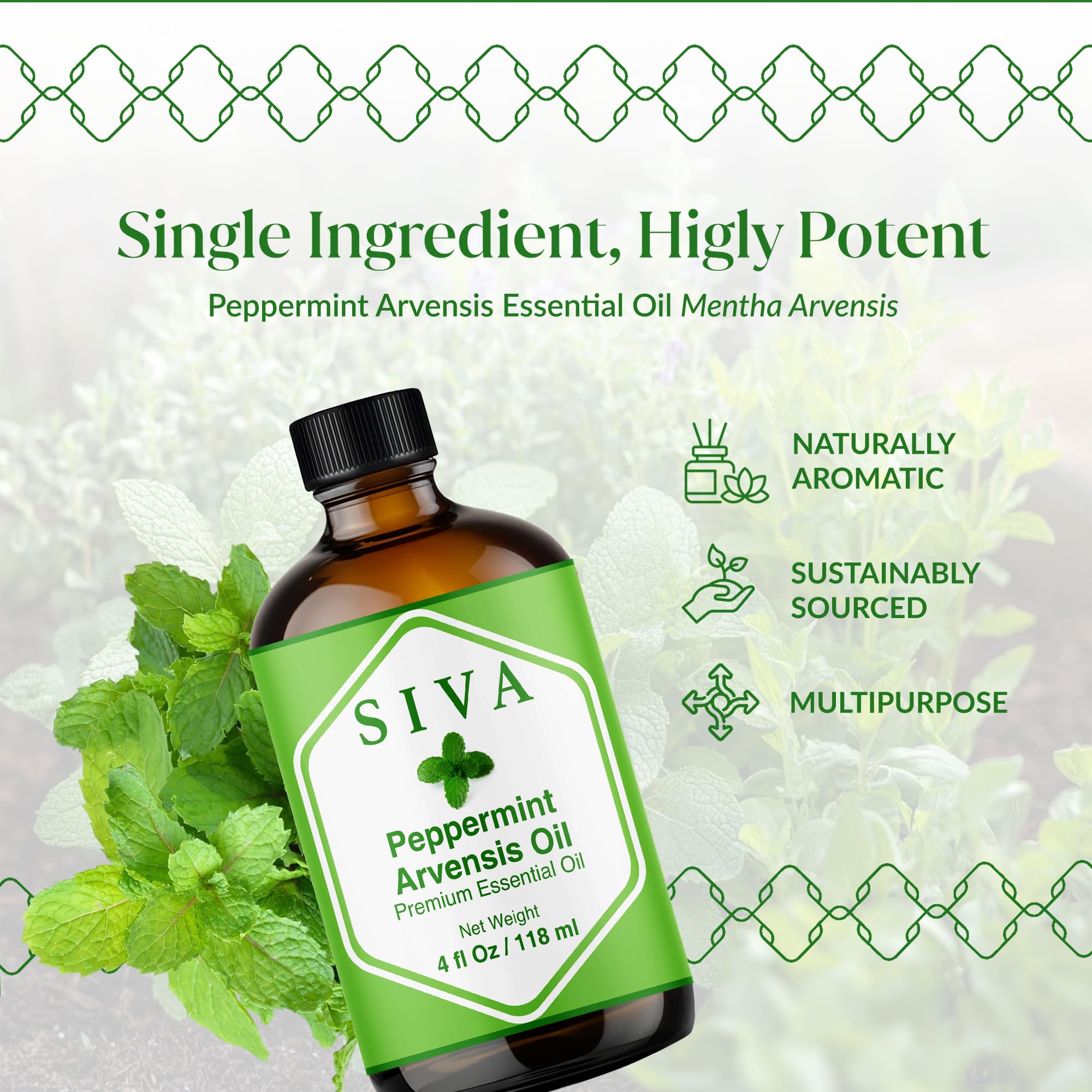Peppermint Arvensis essential oil used in diffuser