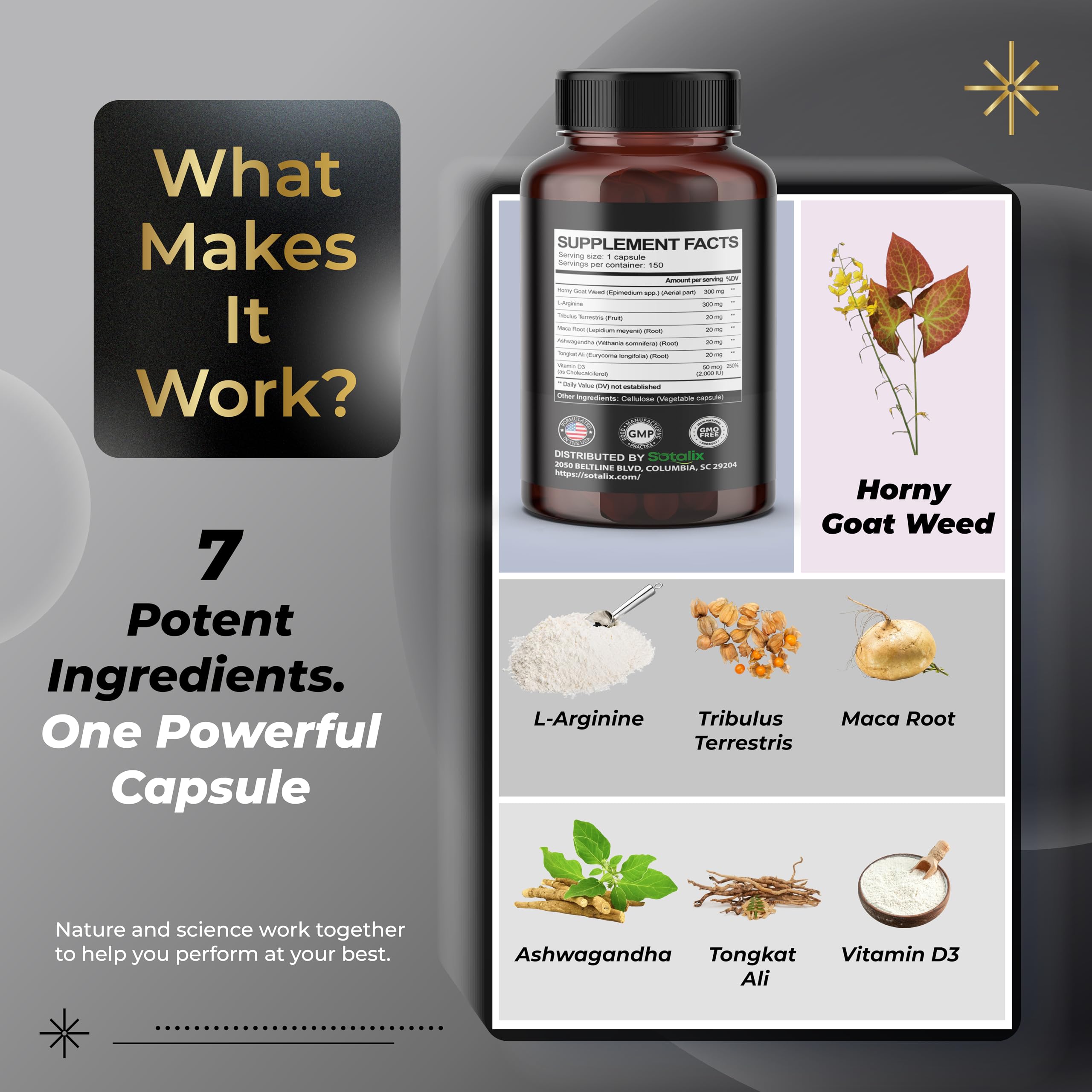 Six botanical blend for muscle support